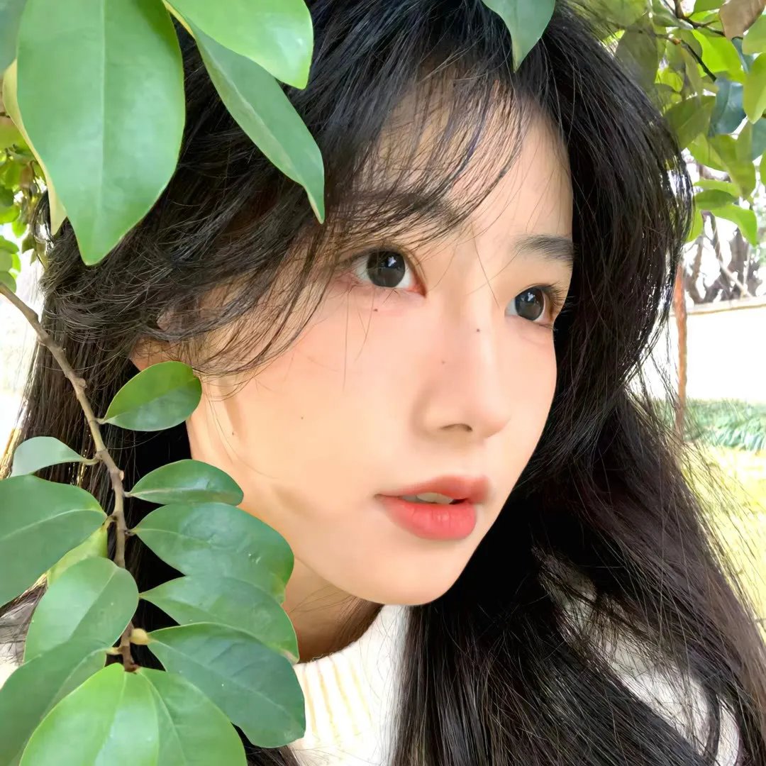阻婚四姊妹